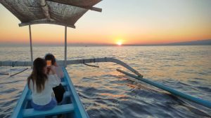 sunrise dolphin