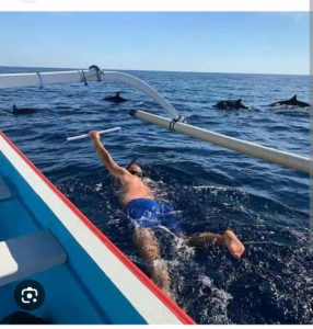 Lovina Dolphin Tour